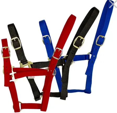 Недоуздок нейлоновый простой с пряжкой на носу