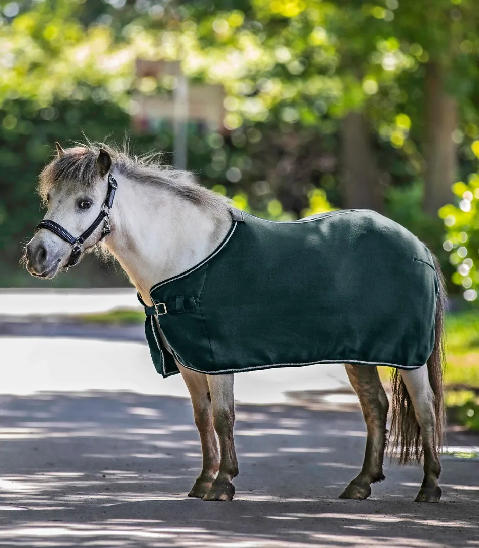 Попона Economic