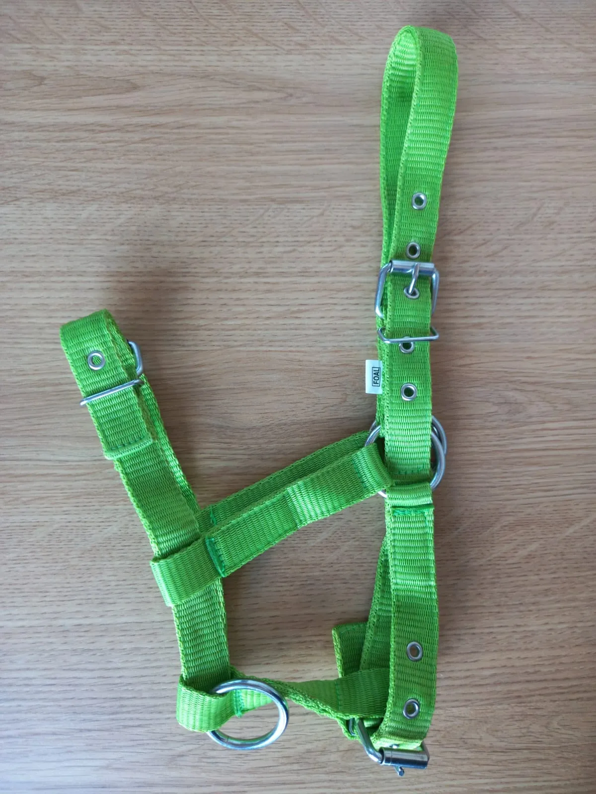 Недоуздок для жеребят зеленый