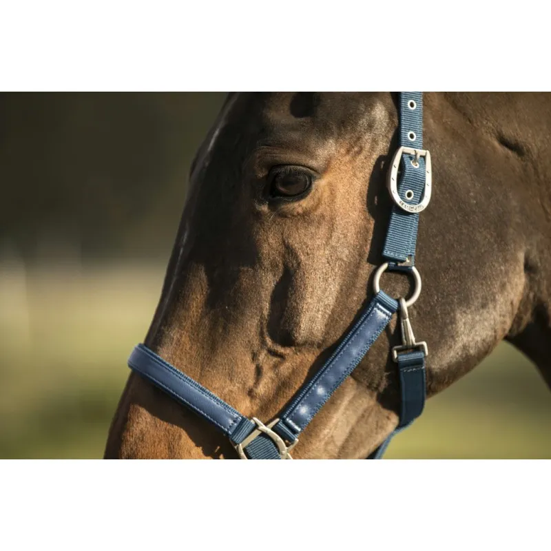 Недоуздок для лошади LAMI-CELL "LC"