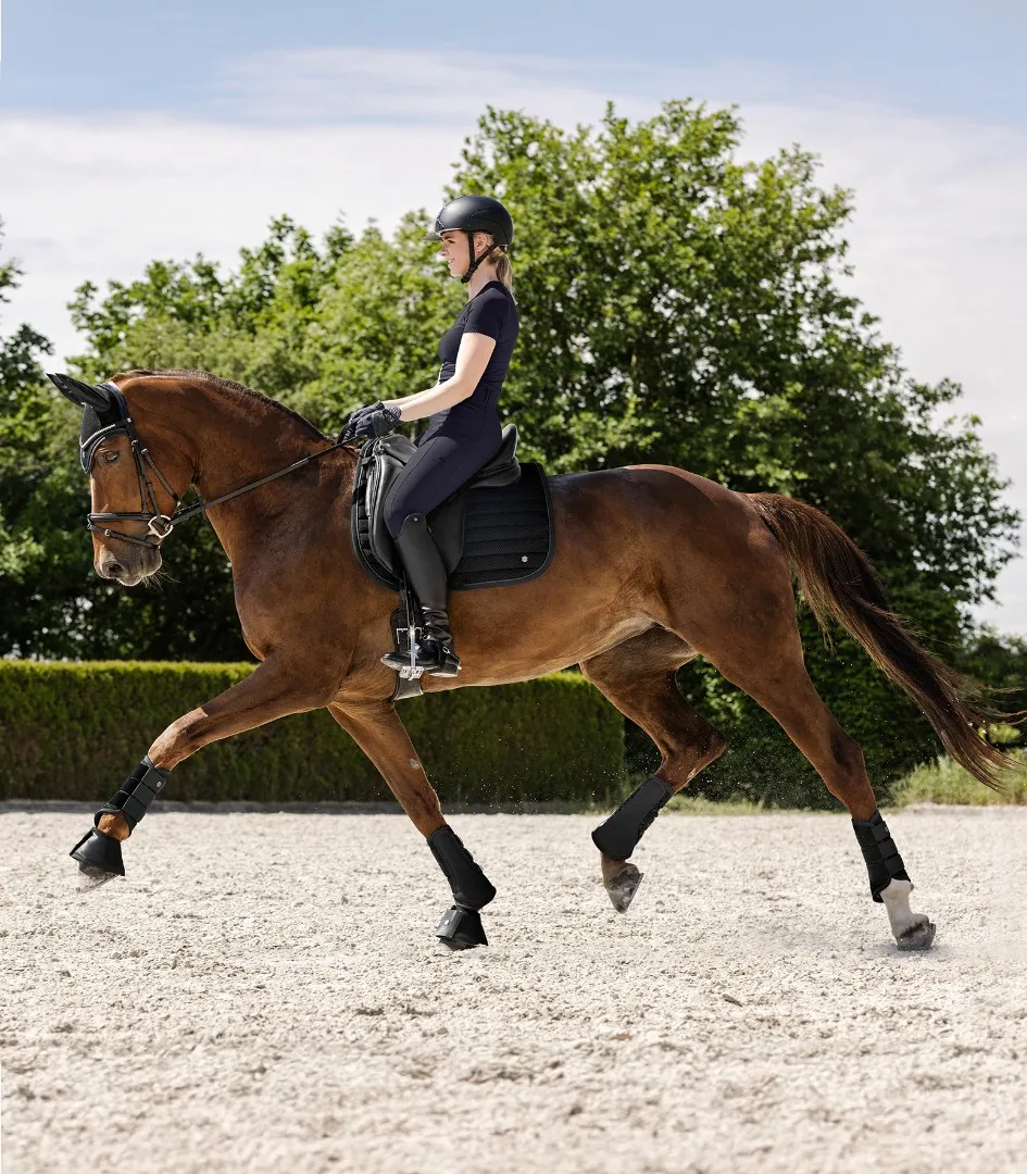 Вальтрап выездковый Rimini