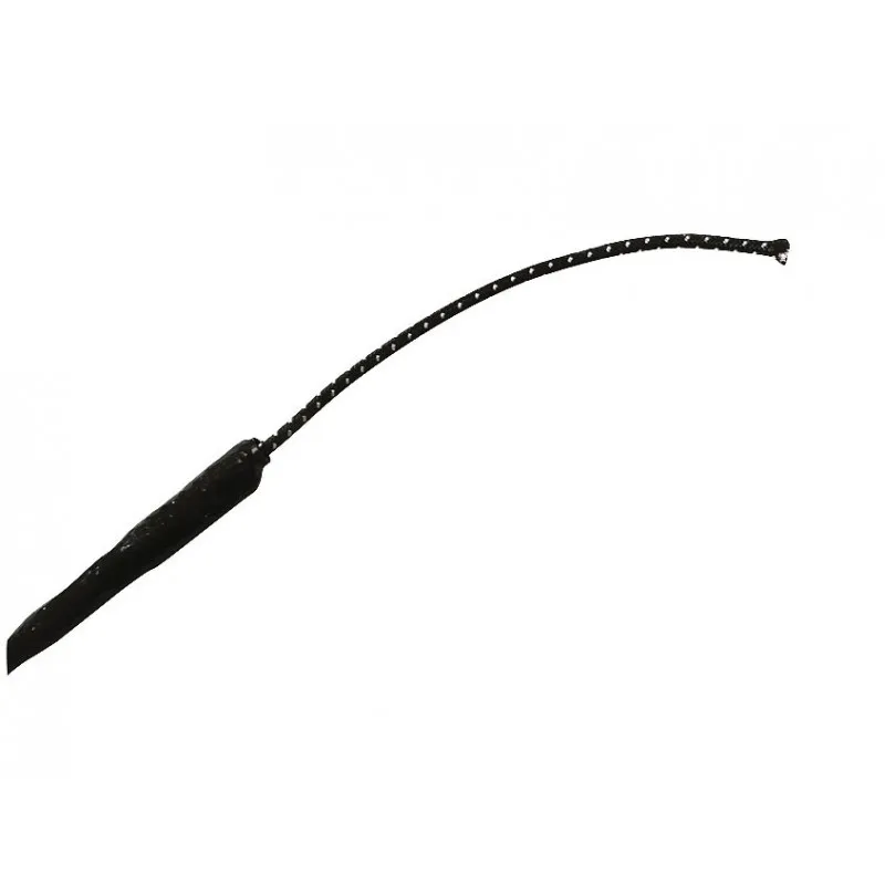 Хлыст выездковый