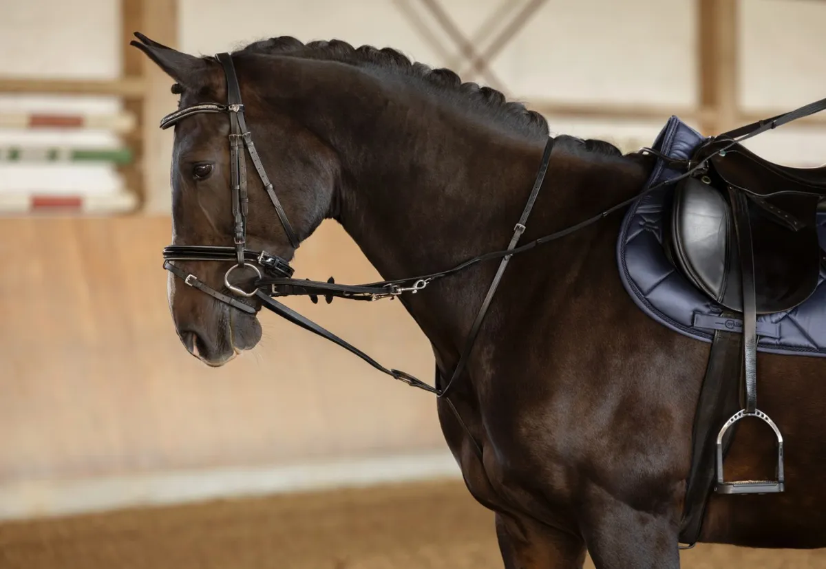 Повод балансирующий Тодемана