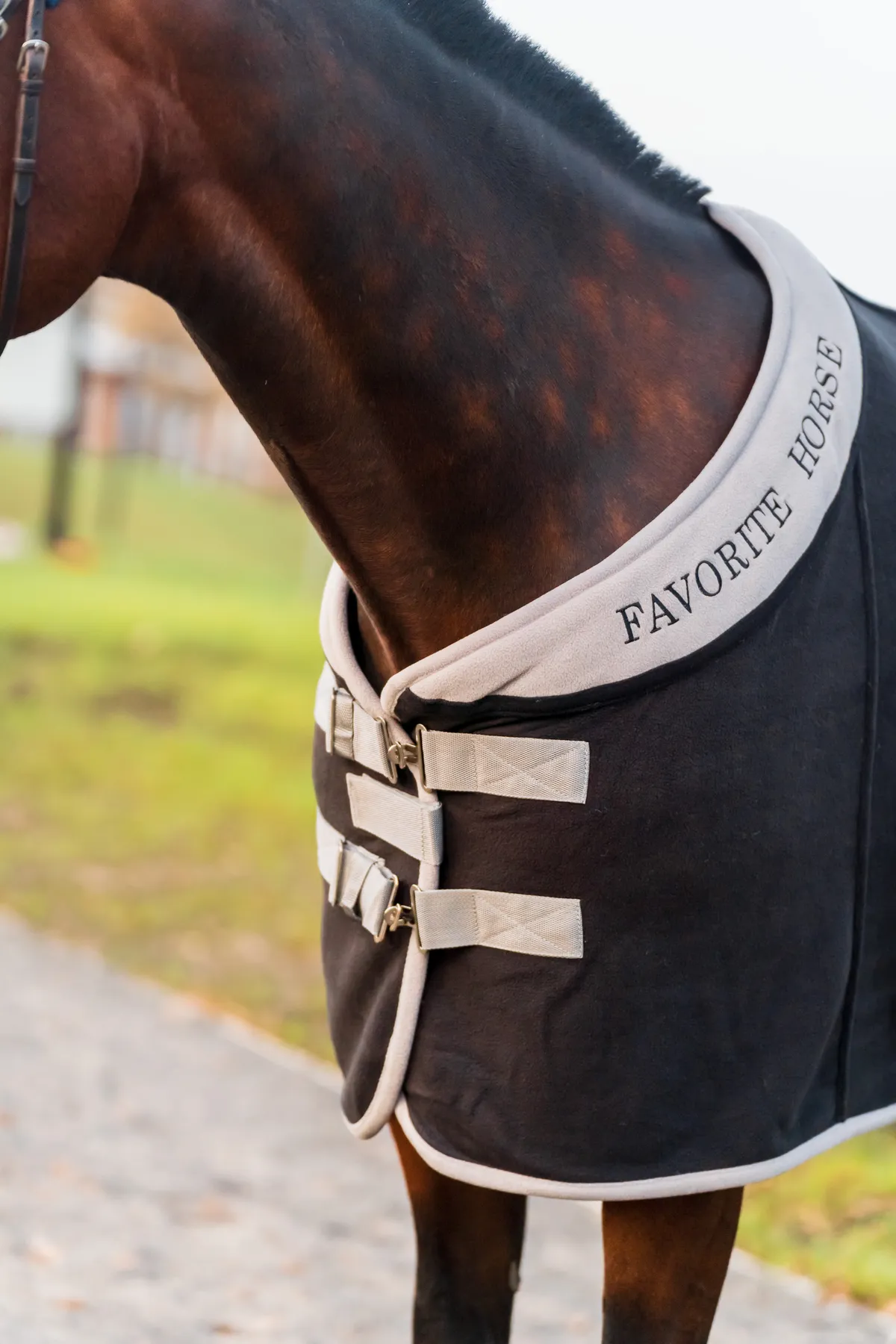 Попона флисовая FAVORITE HORSE Aristocratic (черная,135)