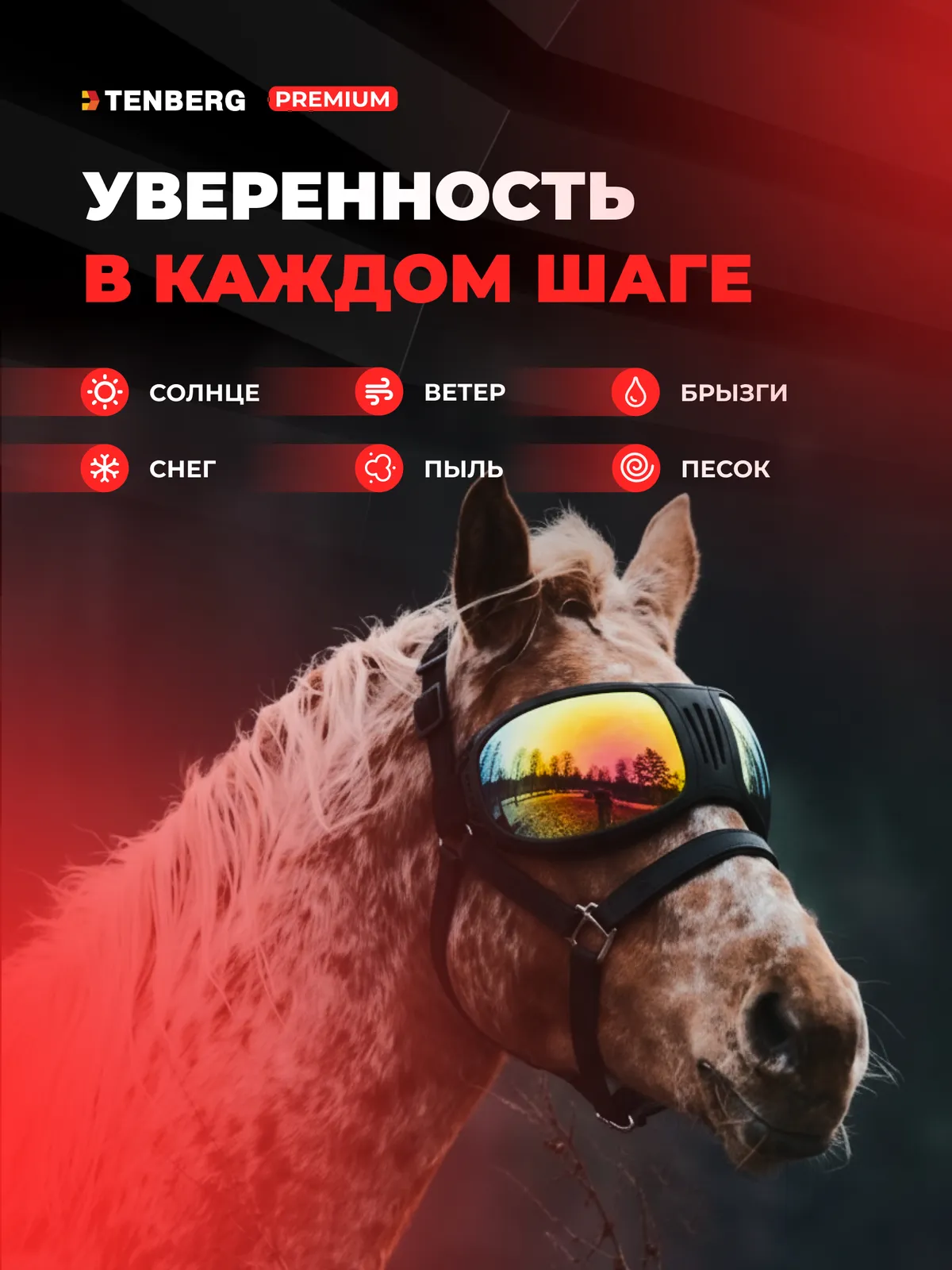 Очки для лошади TENBERG Stallion Vision UV Blue солнцезащитные (синий)