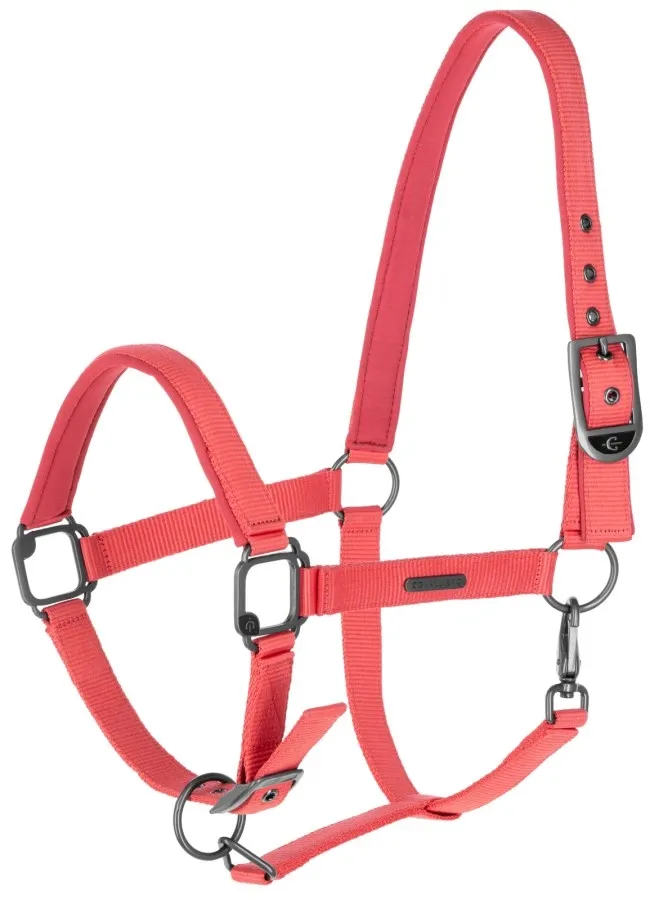 Недоуздок Covalliero c чумбуром S/S25 коралловый full