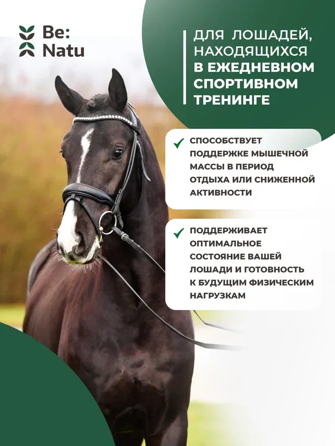 Be:Natu Regular mix 1 кг