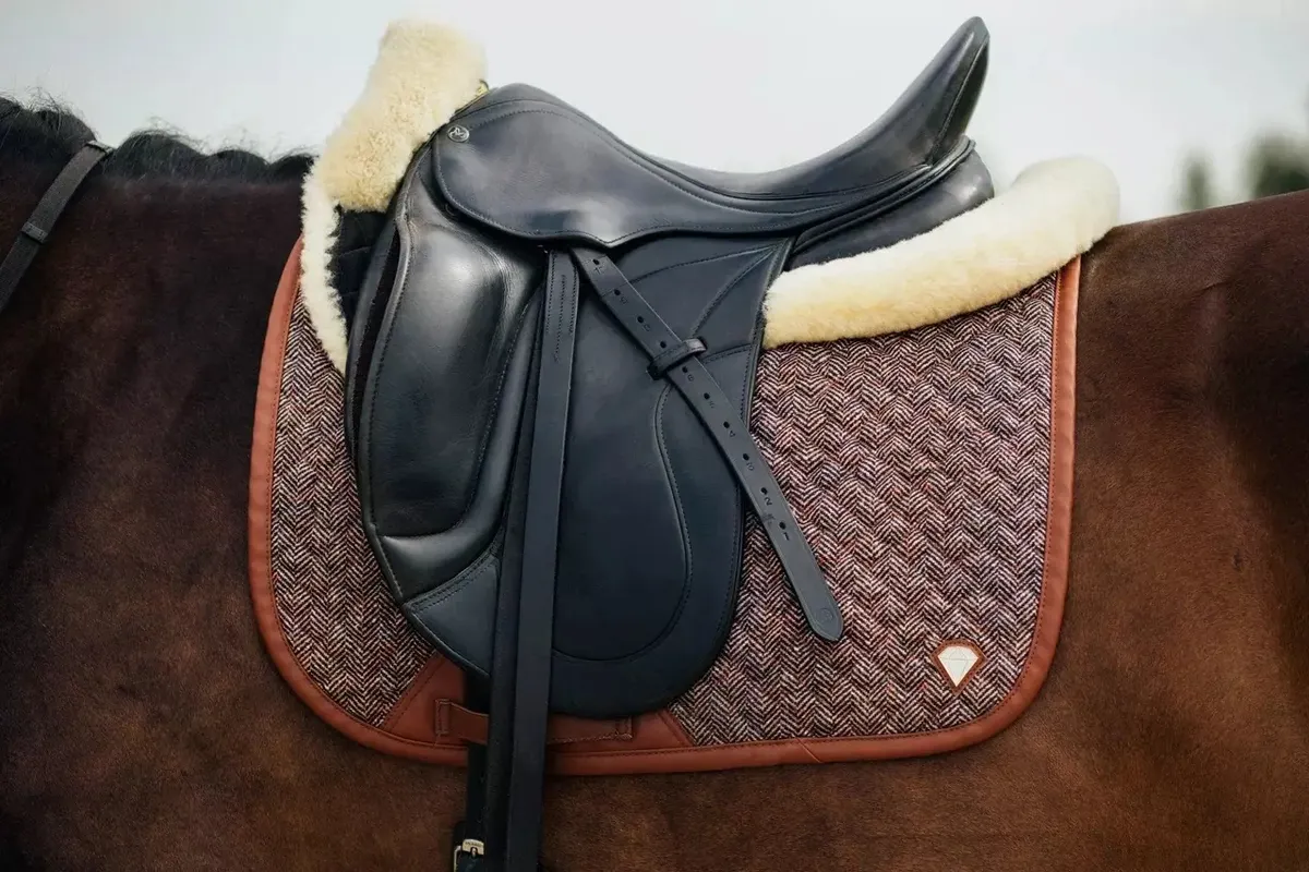 Выездковый вальтрап English Classic Diamond Zest