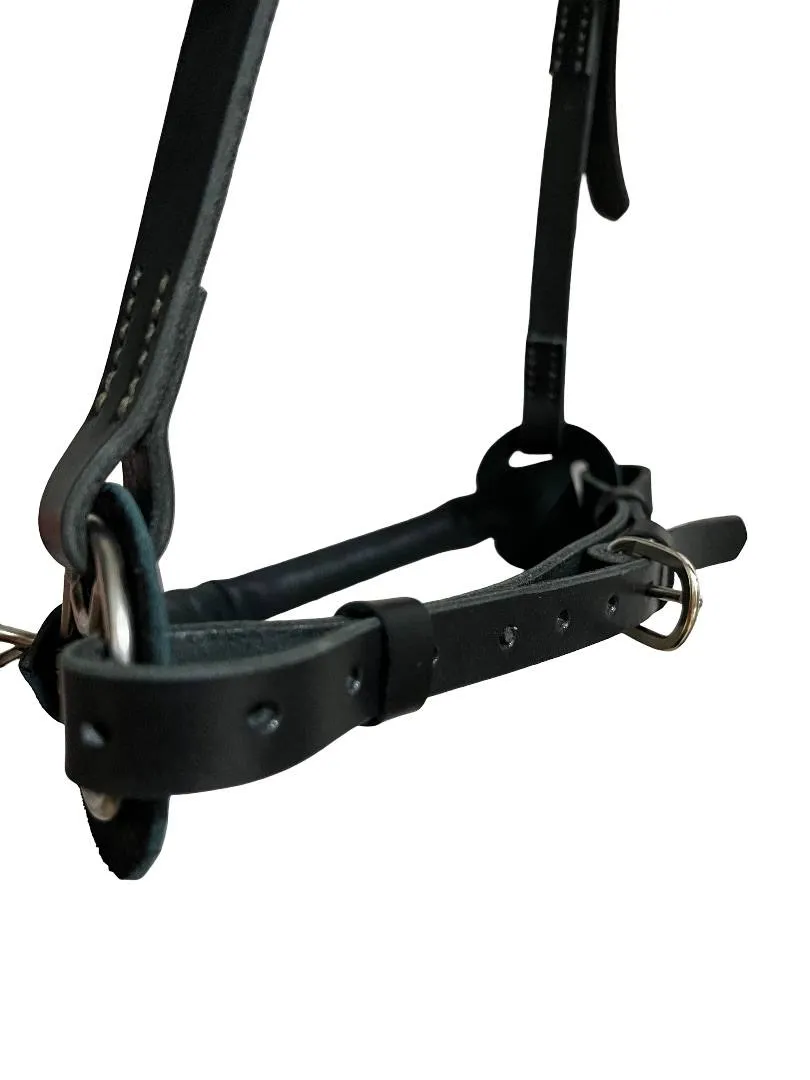 Кавессон с цепью Cob - Full 