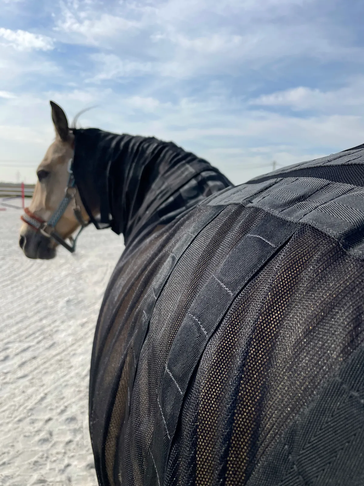 Магнитная попона 155