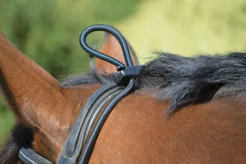 Шамбон резиновый для лошади Tattini, 3 метра