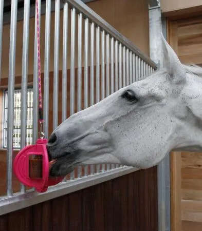 Держатель для ликита Bizzy ball, розовый