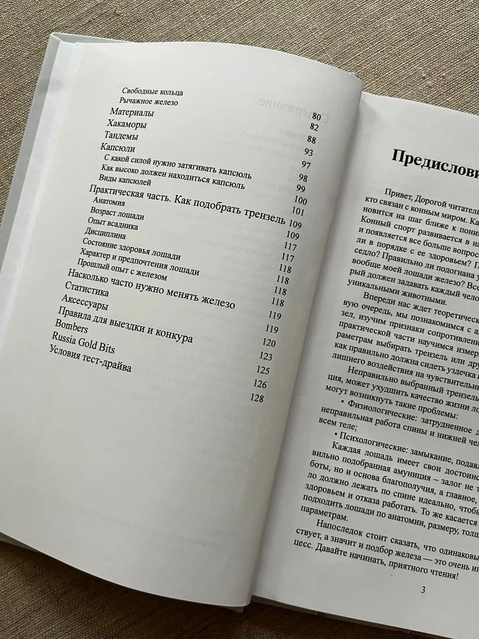 Книга "Знать все о железе"