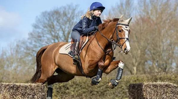 Ногавки LeMieux "Carbon Air XC", комплект, 4 шт.