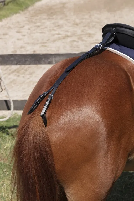 Подхвостье (пахва)