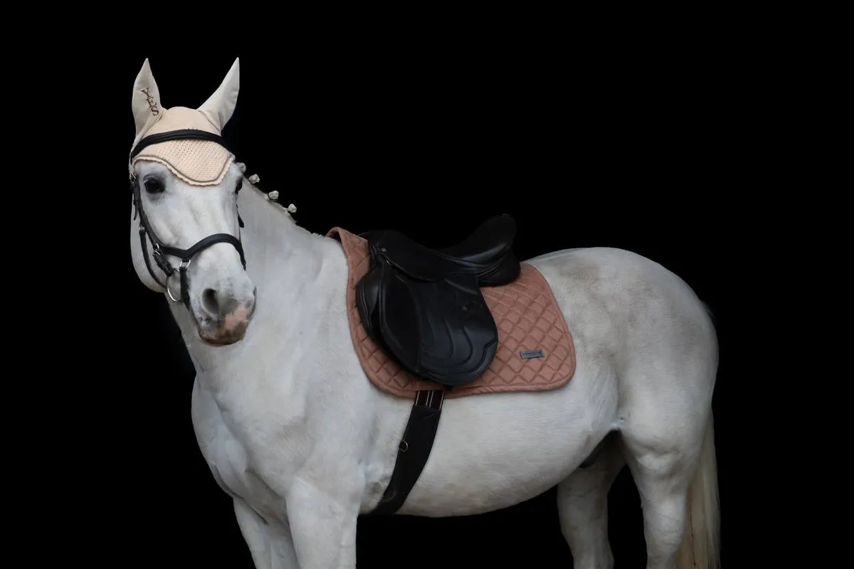 Ушки со стразами для лошади крем