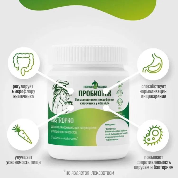Horse-bio: Пробиотик GastroPro для нормализации пищеварения у лошадей, 800 гр.