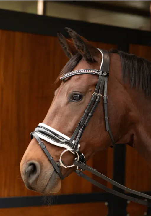 Уздечка для лошади Chique Harry's Horse размер Full цвет черный