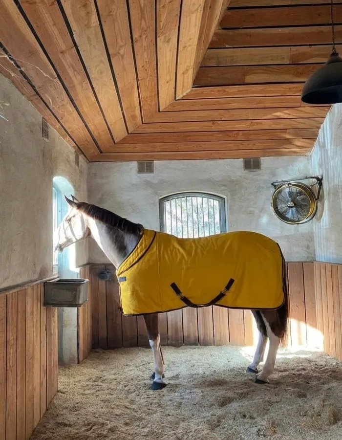 Попона флисовая для лошади конный спорт, верховая езда ОколоКони, цвет горчица, р-р 135