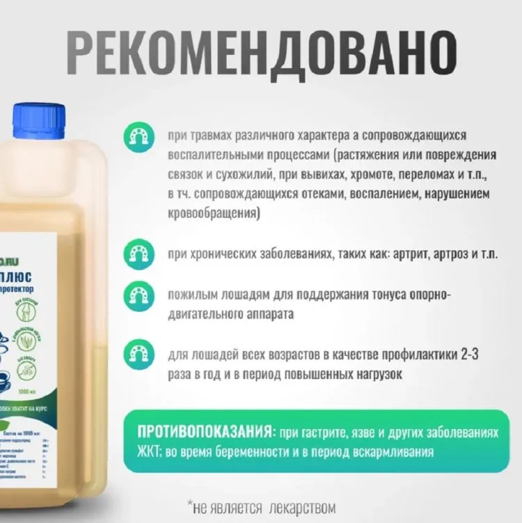 Horse-bio: Хондропротектор Хондрофит Плюс ArtroPro для лошадей(без сахара), 1 л.
