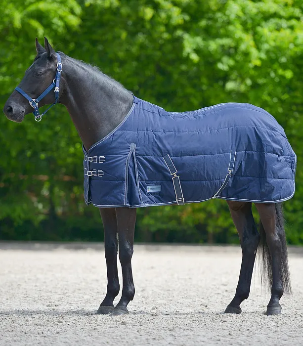 Попона денниковая Economic 100g