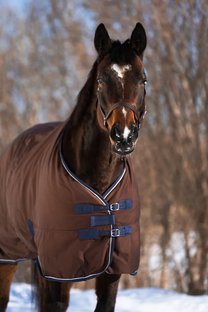 Попона денниковая FLEECE-LINED на флисе коричневый