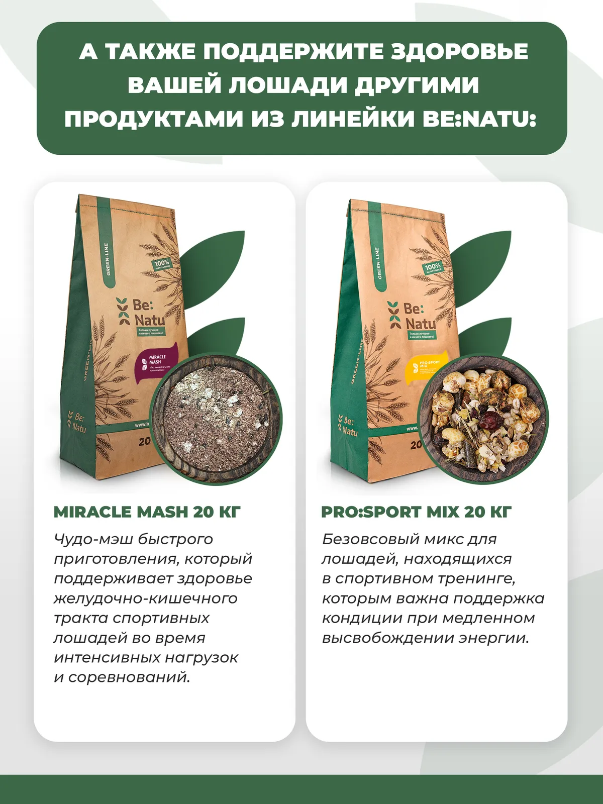 Energy sport mix 20кг