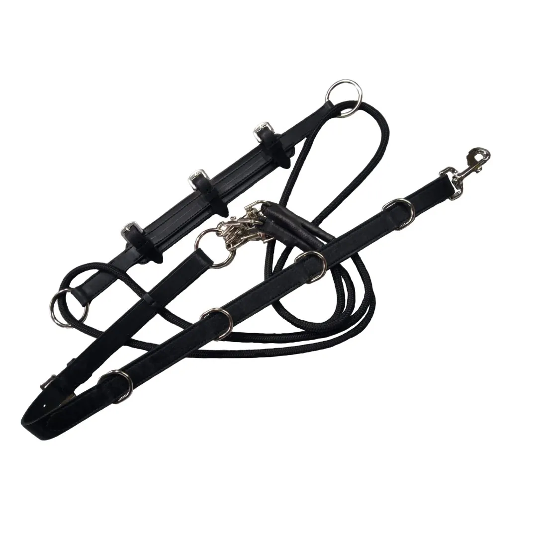 Гог с 4-мя карабинами