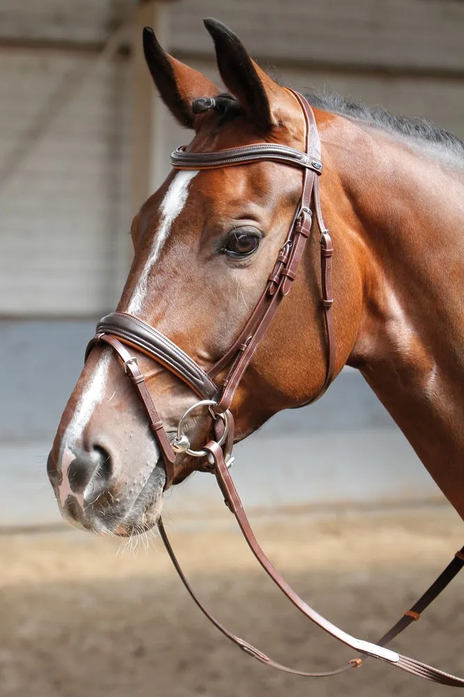 Уздечка с мягкой подложкой SOFT от Harry's Horse (COB, Коричневый)