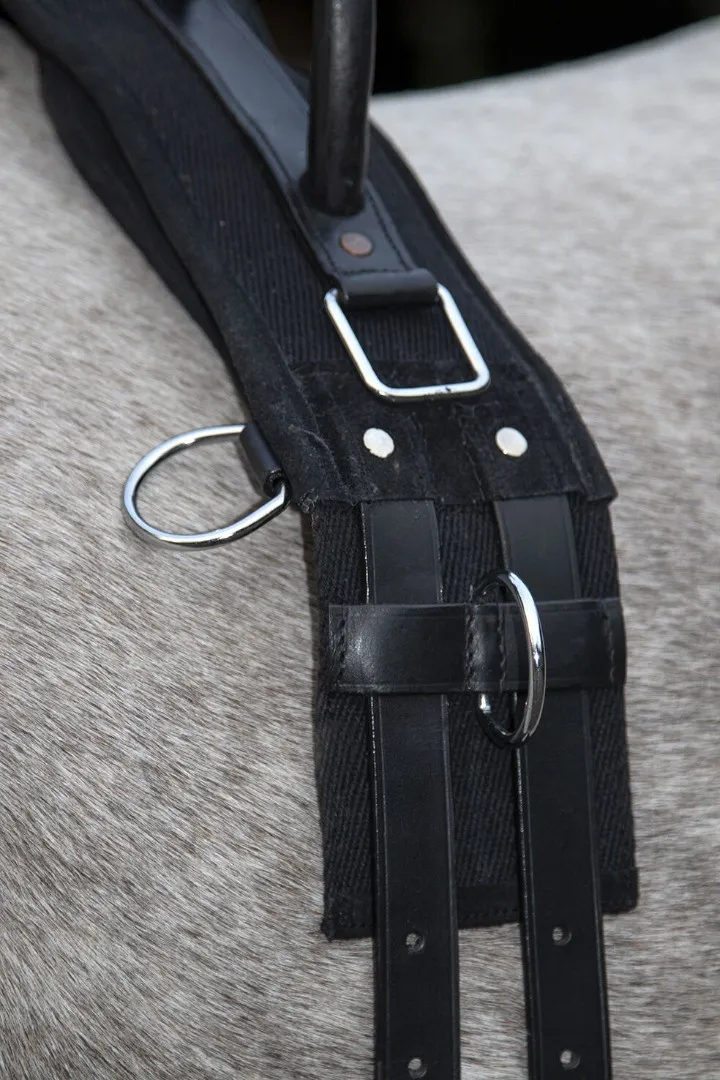 Гурта c мягкими ручками Canvas