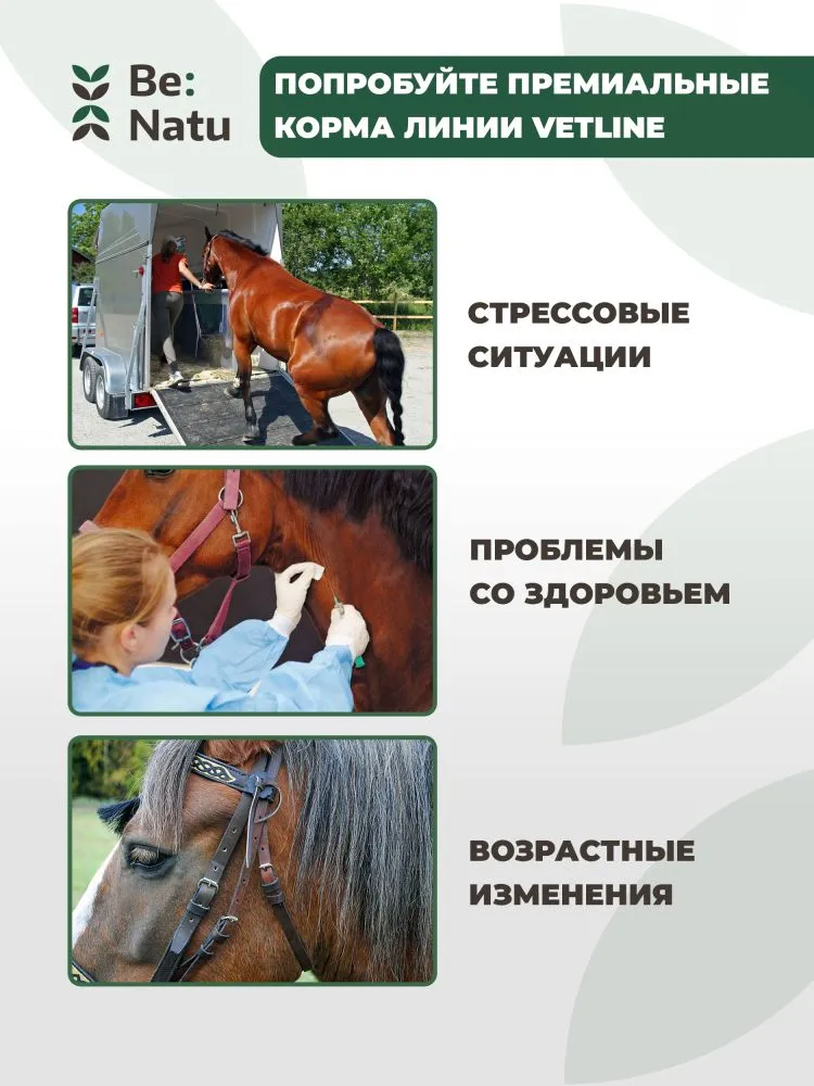 Be:Natu Fast mash безовсовая быстрая каша для лошадей, для ЖКТ, 20 кг