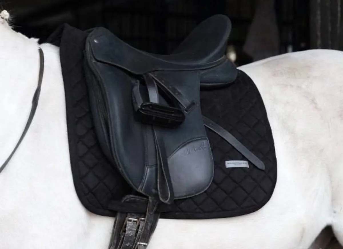 Вальтрап • Weightless • (Черный | выездка )