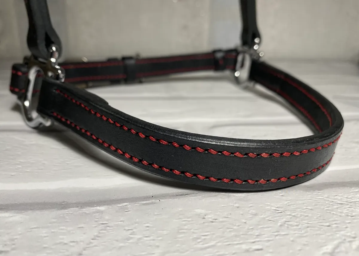 Выводной недоуздок Full