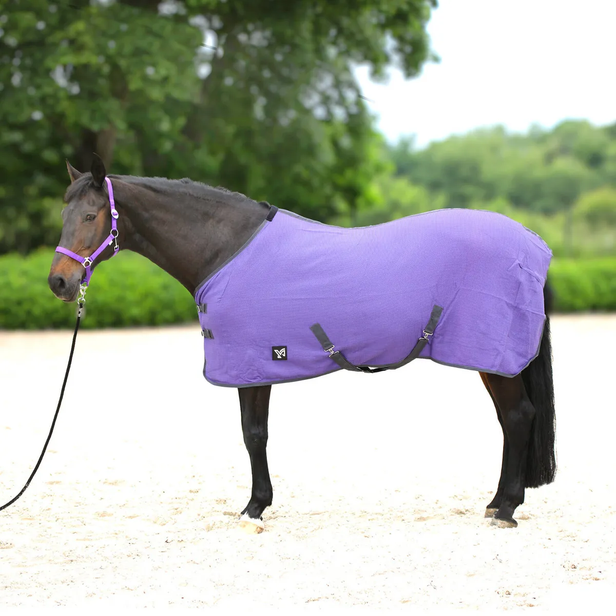 Попона York Santi вафельная/хлопковая фиолетовая 125 см