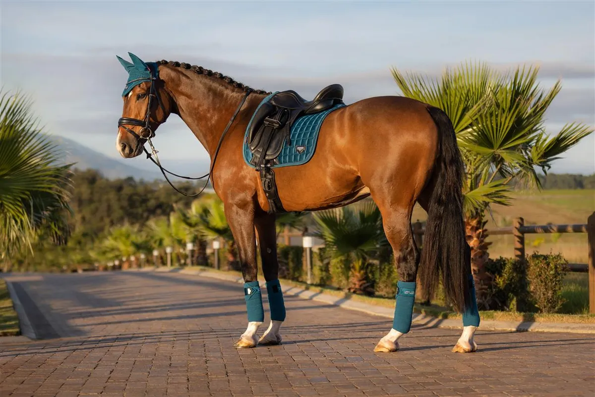 Вальтрап с бинтами Satin Marine