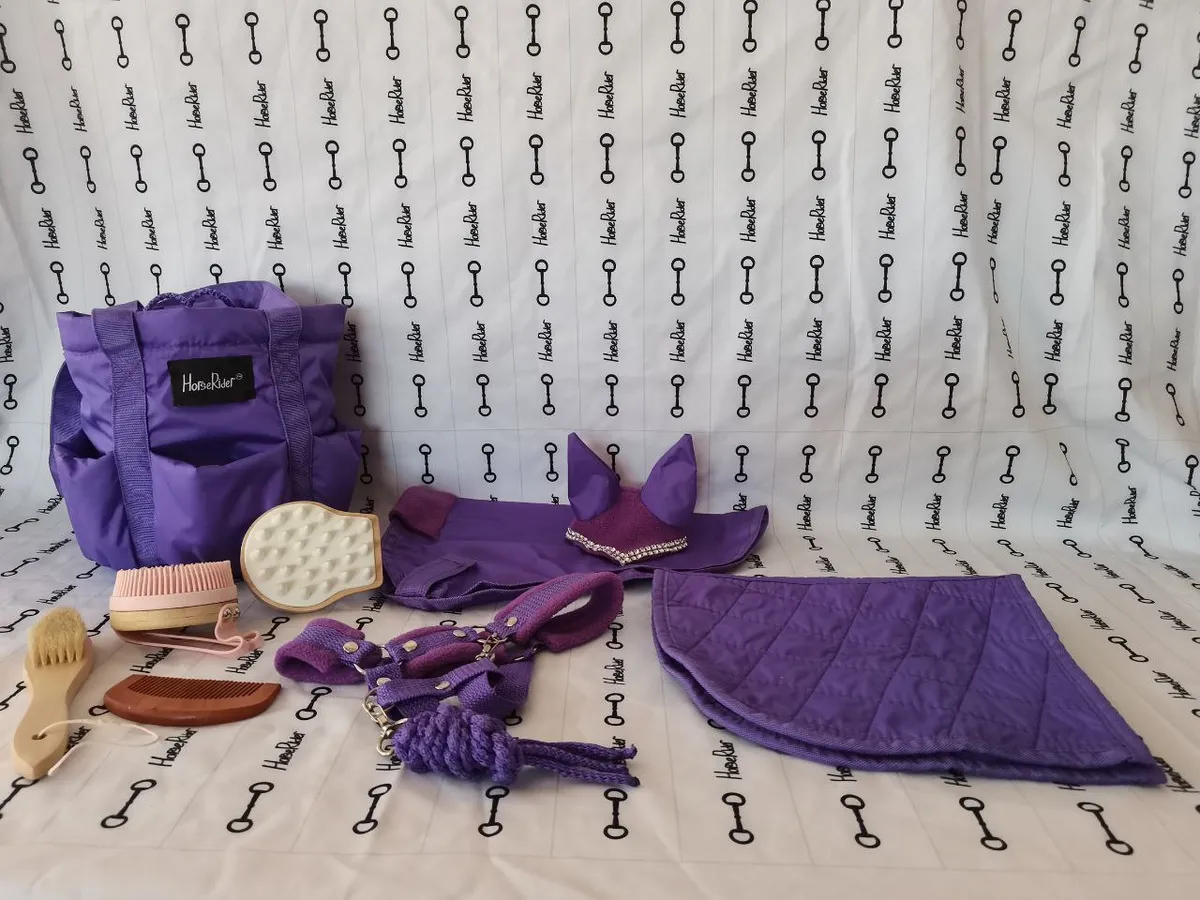 Сумка со щетками для хоббихорса