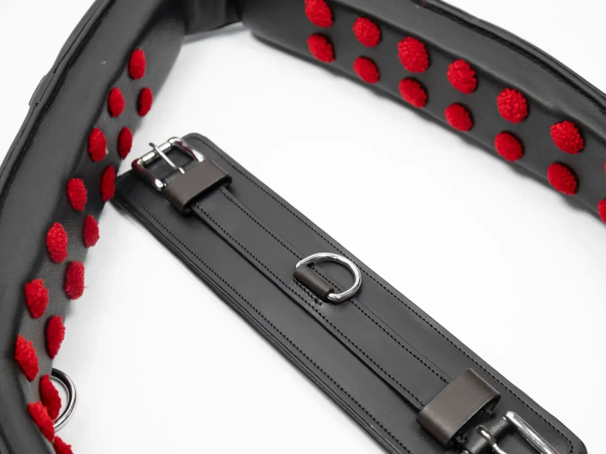 Тренинг система Lammert Haanstra