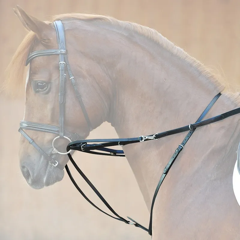 Мартингал Тидемана с поводом, pony
