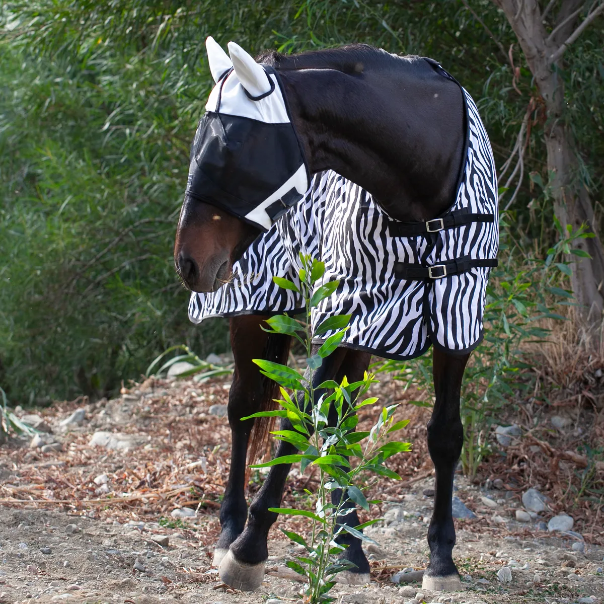 Попона антимоскитная Zebra Print