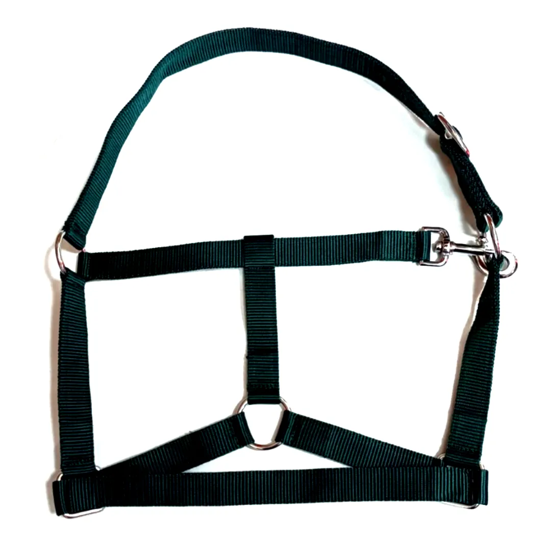 Недоуздок эконом