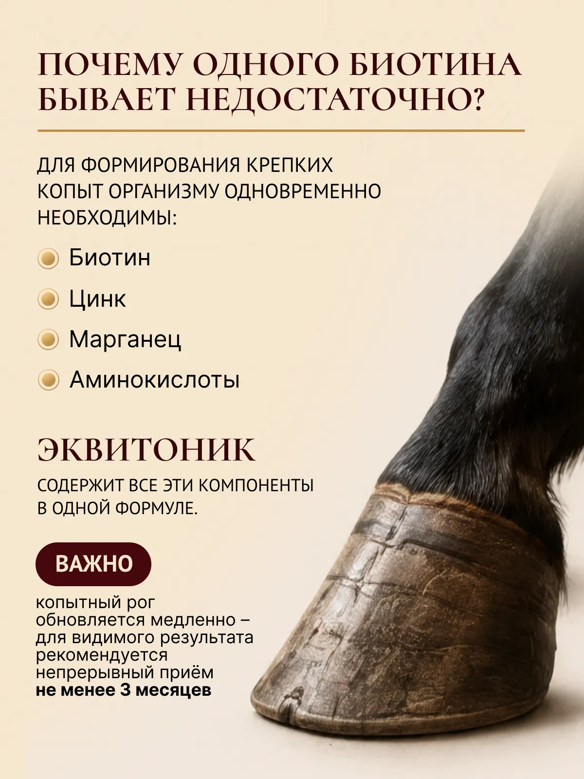 Комплексная подкормка для лошадей "ЭКВИ-ТОНИК"
