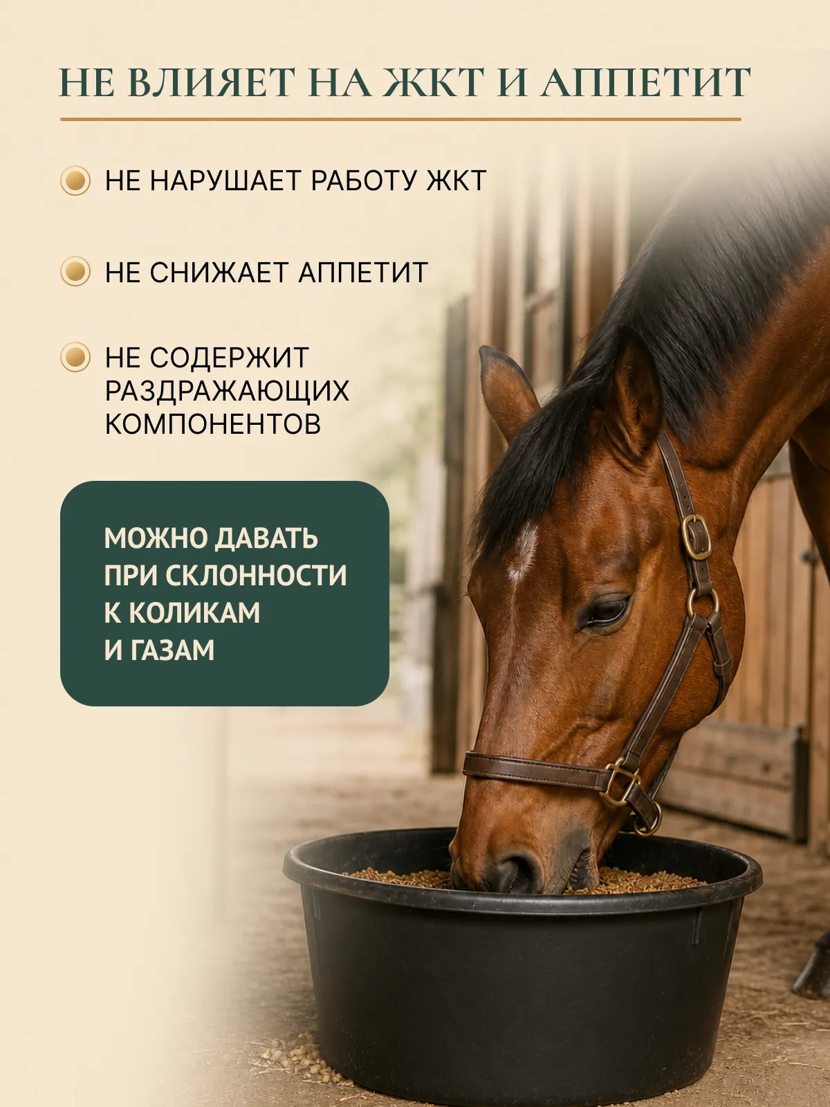 Успокаивающая подкормка для лошадей "МАГНИЙ PRO"