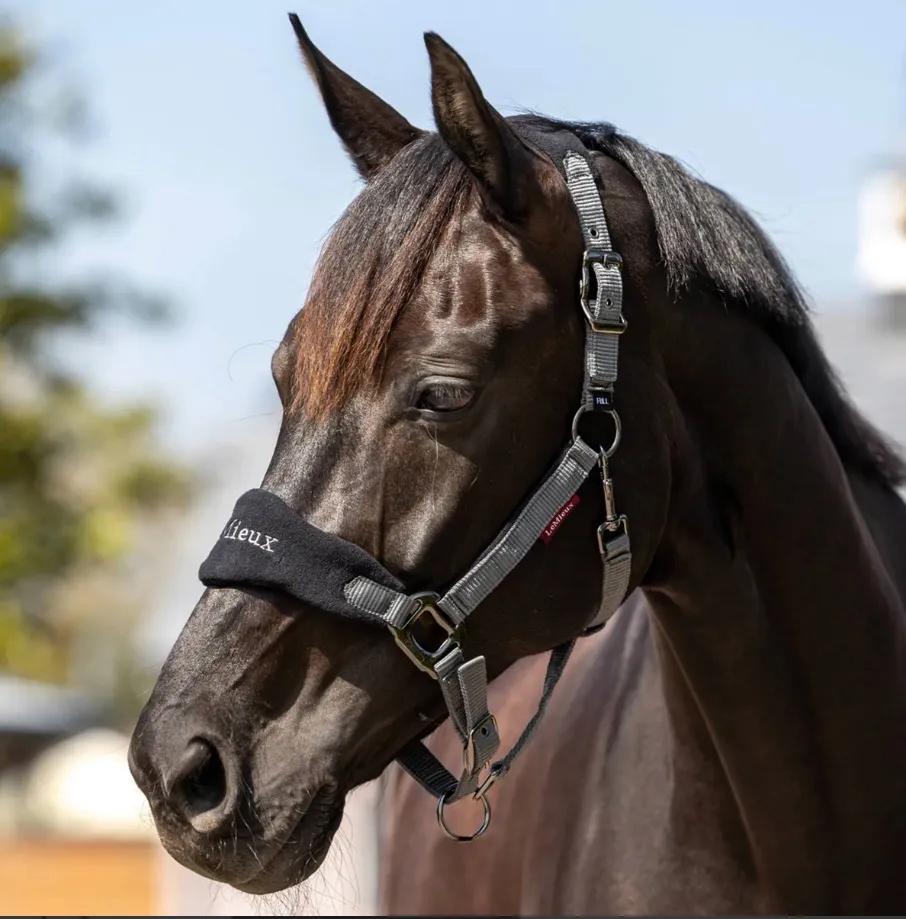 Недоуздок с чомбуром LeMieux