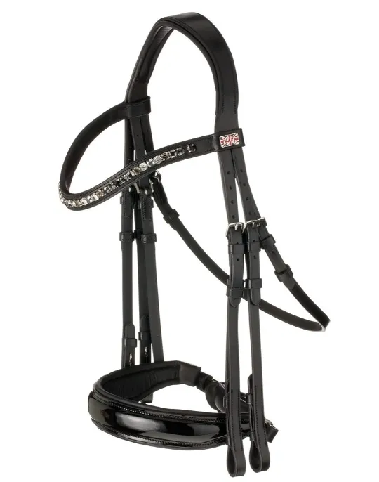 CLARIDGE HOUSE Dressage