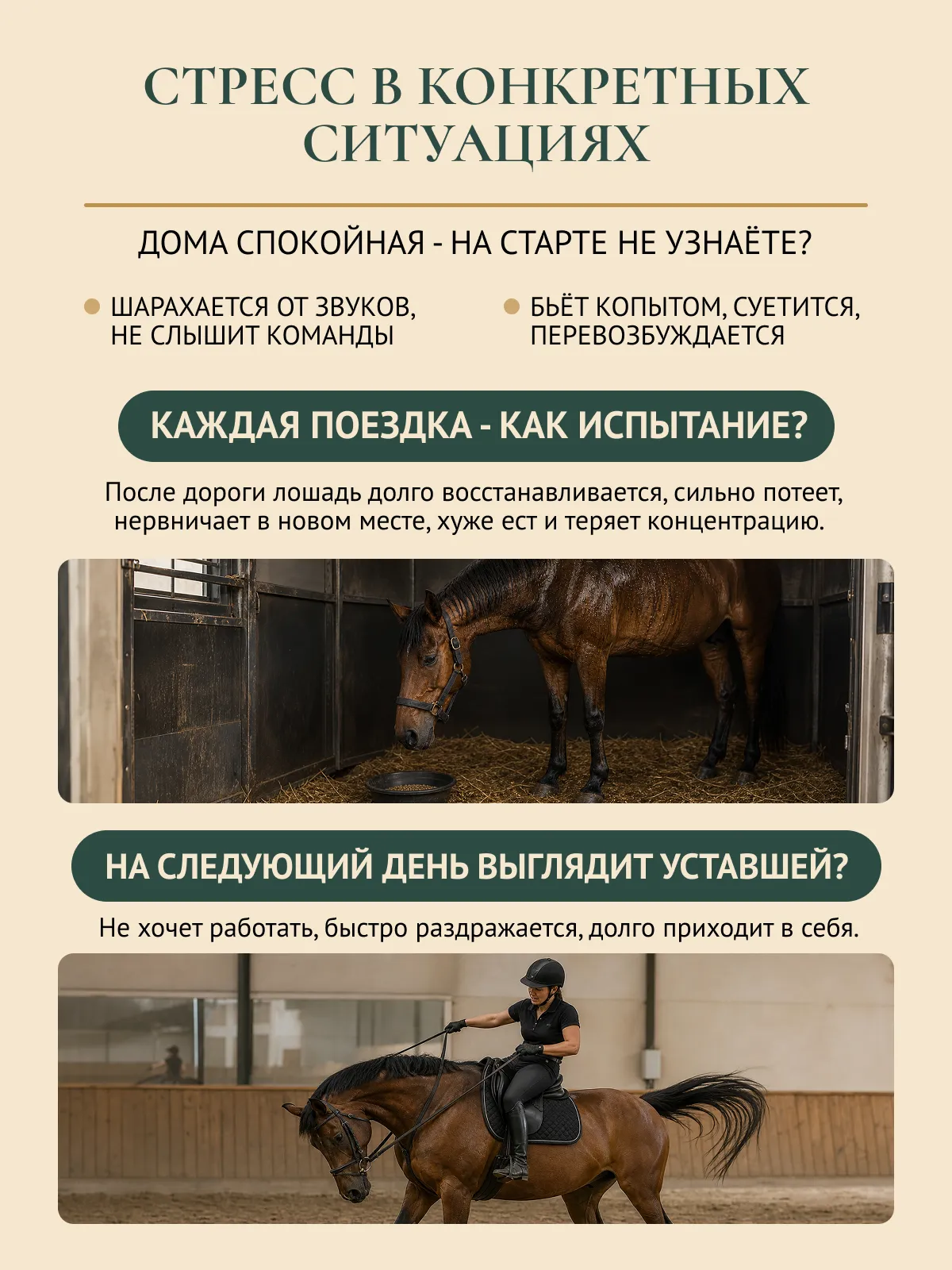 Успокаивающая подкормка для лошадей "МАГНИЙ PRO"