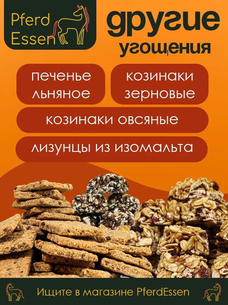 Лизунец (ликит) из сахара тыквенный 840гр PferdEssen