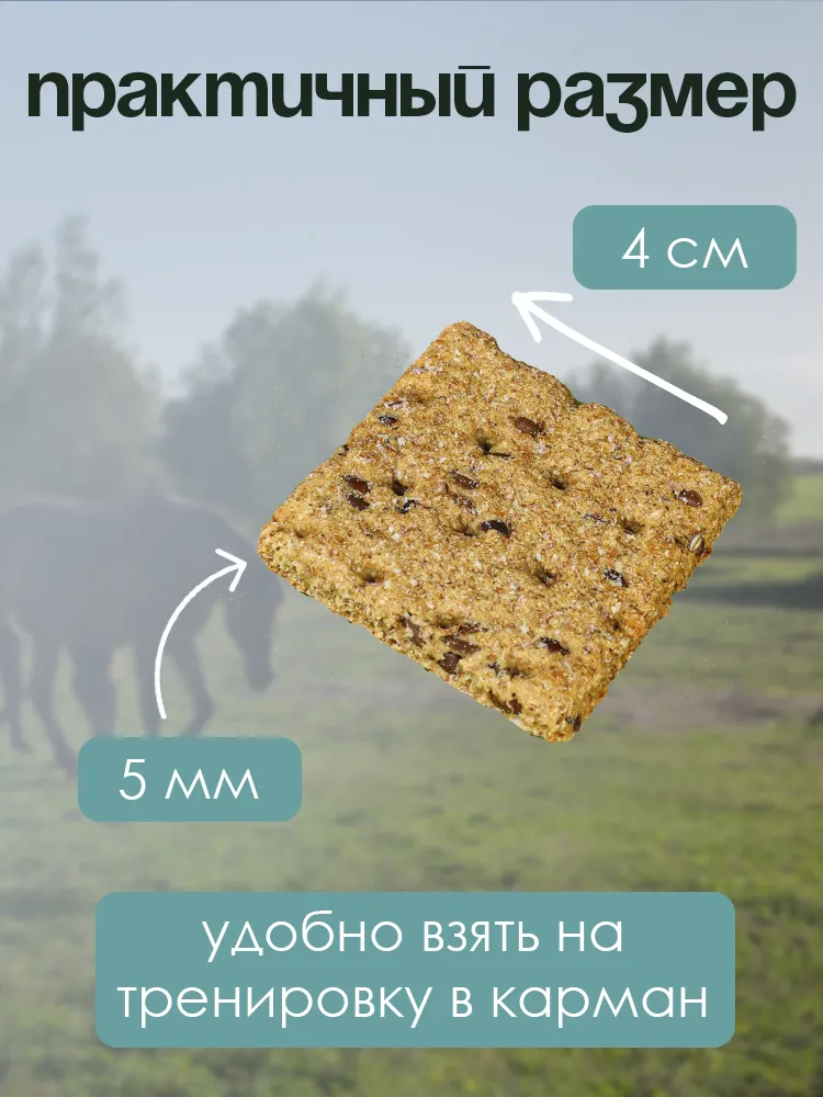 Печенье льняное PferdEssen