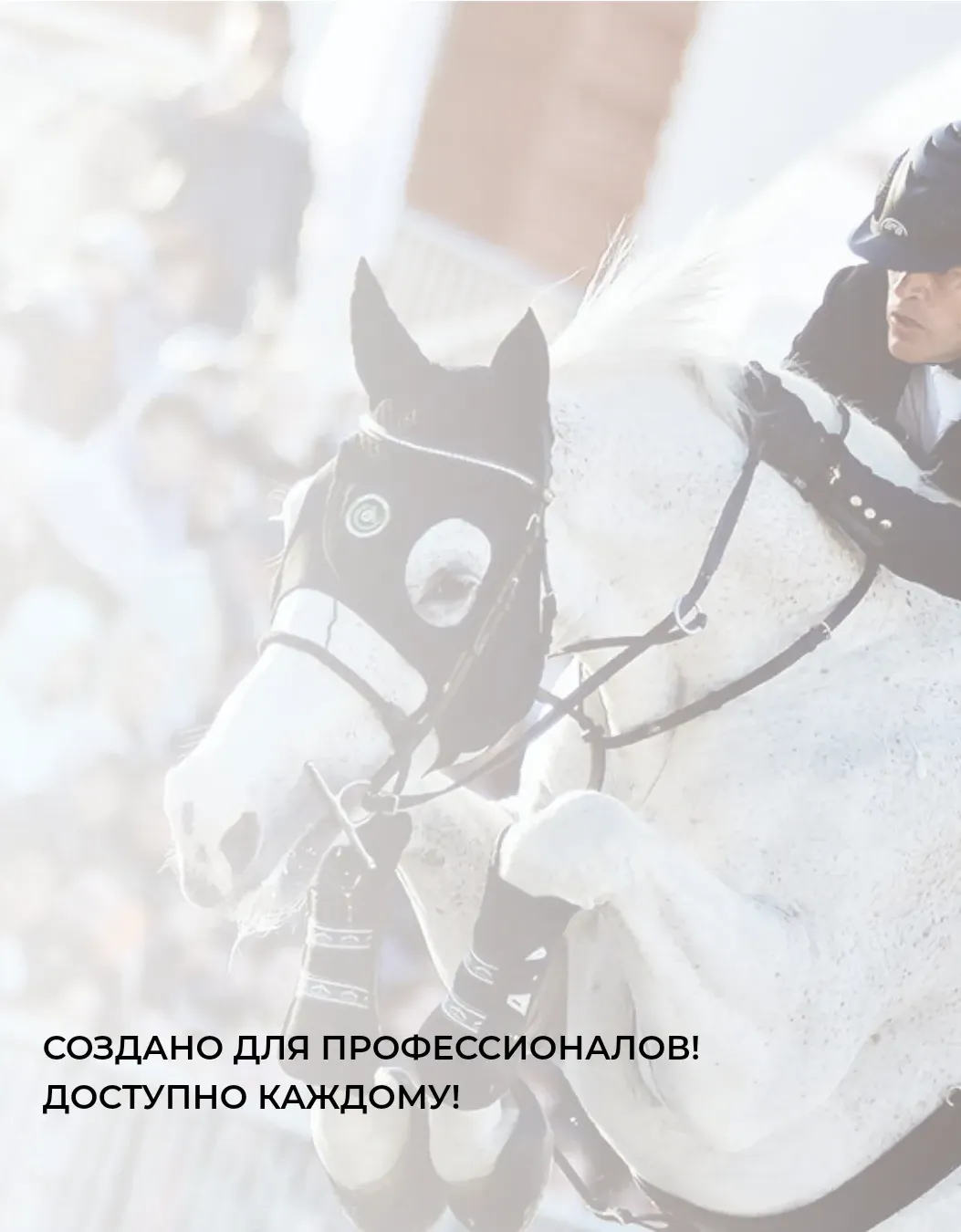 WG Мультиэнзимный гель для стирки экипировки. 2 л. WG Equestrian Laundry Gel Pro. 