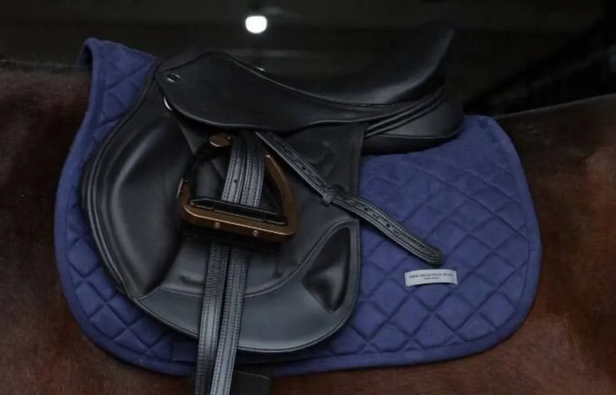 Вальтрап • Weightless • (Синий | конкур )