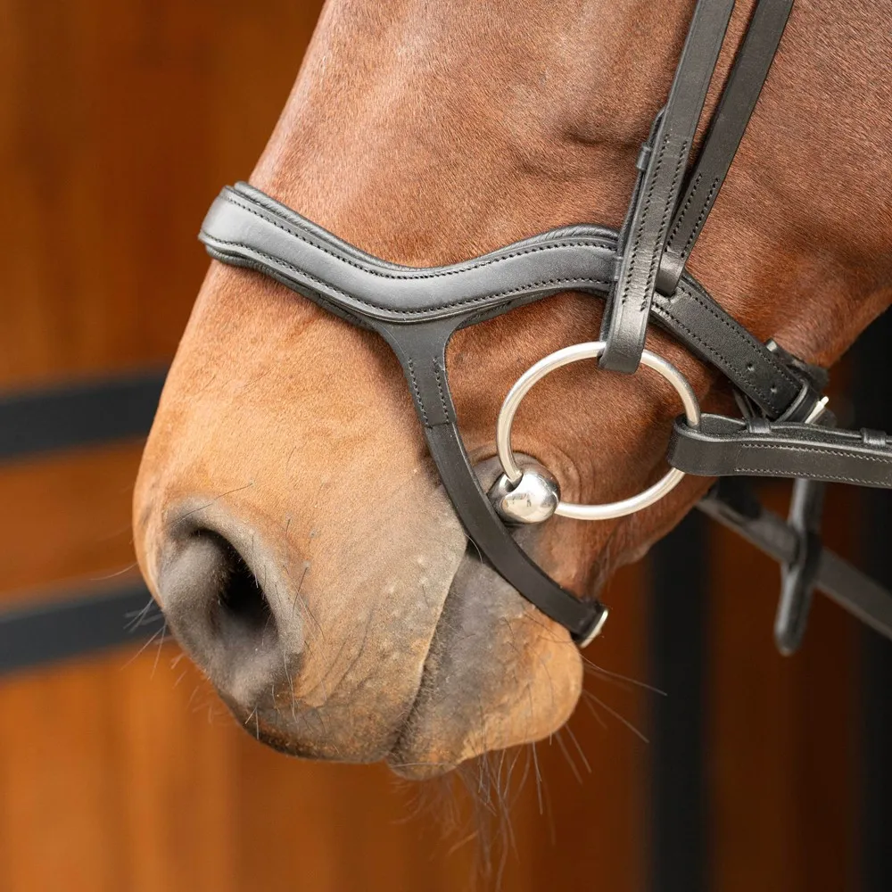 Уздечка Anatomic от Harry's Horse (Чёрный, COB)